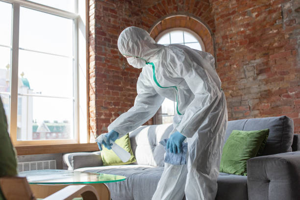 Professional Mold Inspection in Baywood, NY